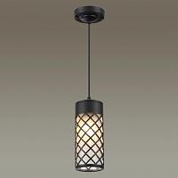 Дополнительная картинка Уличный подвесной светильник Odeon Light Nature Dunes 4834/1