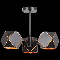 Дополнительная картинка Потолочная люстра ST Luce Enigma SL258.402.03