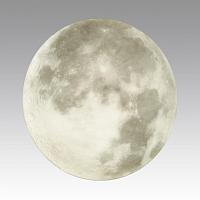 3084/DL PALE SN 014 Светильник пластик/белый/серый LED 48Вт без ДУ 4000К D380 IP43 MOON