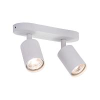 Потолочный светильник Arte Lamp AQUARIUS A3226PL-2WH