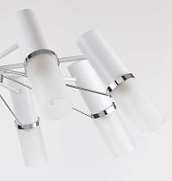 Дополнительная картинка Потолочная люстра F-Promo Viator 2559-8P