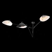 Дополнительная картинка Потолочная люстра ST Luce Spruzzo SL305.402.03