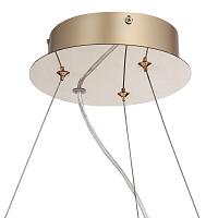 Дополнительная картинка SL6135.213.01 Люстра ST-Luce LIGHTSOME