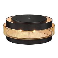 Дополнительная картинка 8003/6C Lumion Потолочный светильник ANIMAISA