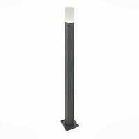 Дополнительная картинка Уличный светодиодный светильник ST Luce SL101.715.01
