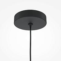 Дополнительная картинка Подвесной светильник Maytoni MOD161PL-01B1