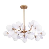 Дополнительная картинка Подвесной светильник Arte Lamp PEACOCK A1369SP-15SG