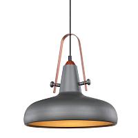Дополнительная картинка Подвесной светильник Lussole Loft LSP-9814