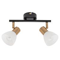 Дополнительная картинка Настенно-потолочный светильник Arte Lamp Falena A3117PL-2BK