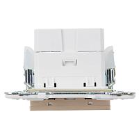SKANDY Роз. USB A+C 3,1А SK-R14Sh шамп. IEK 