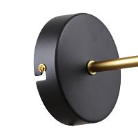 Дополнительная картинка Настенный светильник Trikoniya 3089-1W