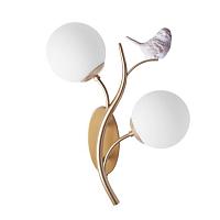 Дополнительная картинка Настенный светильник CAMOMILLA Arte Lamp A9712AP-2SG