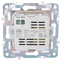 SKANDY Роз. USB A+C 3,1А SK-R14T титан IEK 