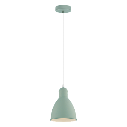 49094 светильник подвесной priddy-p, сталь,hl/1 e27 hellgr?n, доставка по Казахстану 