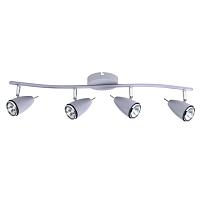 Настенно-потолочный светильник Arte Lamp Regista A1966PL-4GY