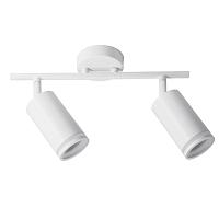 Настенно-потолочный светильник Arte Lamp IMAI A2365PL-2WH