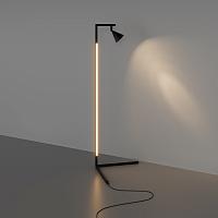 Дополнительная картинка Напольный светильник (торшер) Maytoni MOD489FL-L20B3K Stripe