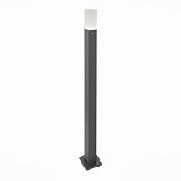 Дополнительная картинка Уличный светодиодный светильник ST Luce SL101.715.01