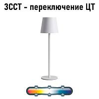 Дополнительная картинка Настольный светильник FUYUE Arte Lamp A1614LT-1WH
