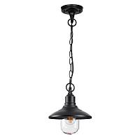 Дополнительная картинка Уличный подвесной светильник Odeon Light Nature Campa 4965/1