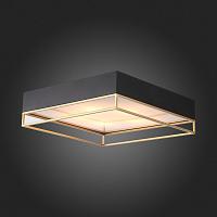 Дополнительная картинка Потолочный светильник ST Luce Chodo SL1127.422.05