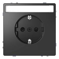 Розетка Schneider Electric Merten D-Life 16A с/з MTN2302-6034 