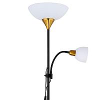 Дополнительная картинка Торшер Arte Lamp Duetto A9569PN-2BK