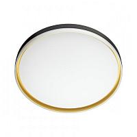 7619/DL PALE SN 042 Светильник пластик/белый/черный/золотистый LED 48Вт c ДУ 3000-6000К D390 IP43 пульт ДУ SAVI