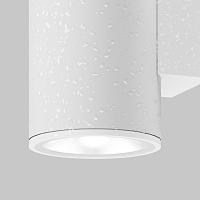 Дополнительная картинка Настенный светильник (бра) Outdoor O303WL-L5W3K