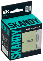 SKANDY Роз. USB A+C 3,1А SK-R14M мятн. IEK 
