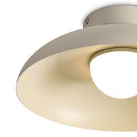 Дополнительная картинка Потолочный светильник Freya FR5602CL-L10W Movement
