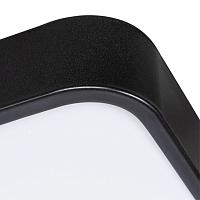 Дополнительная картинка Потолочный светодиодный светильник Arte Lamp Scena A2669PL-1BK