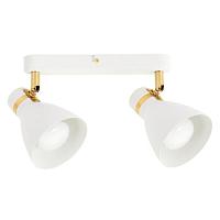 Дополнительная картинка Потолочный светильник Arte Lamp FAFNIR A5047PL-2WH