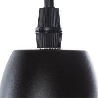 Дополнительная картинка Подвесной светильник Arte Lamp Braccio A2054SP-1BK