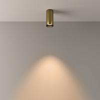 Дополнительная картинка Потолочный светильник Technical C056CL-L12W3K-W-BS