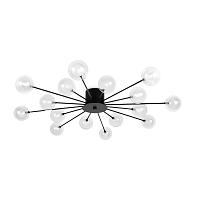 Дополнительная картинка Потолочная люстра Freya FR5242CL-16B1