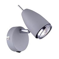 Дополнительная картинка Настенный светильник Arte Lamp Regista A1966AP-1GY