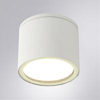 Дополнительная картинка Уличный потолочный светильник Arte Lamp PIAUTOS A1913PF-1WH