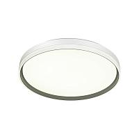 7631/DL PALE SN 043 Светильник пластик/белый/светло-серый LED 48Вт c ДУ 3000-6000К D390 IP43 пульт ДУ SAVI