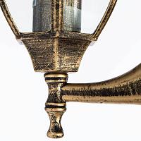 Дополнительная картинка Уличный настенный светильник Arte Lamp Pegasus A3151AL-1BN