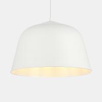 Дополнительная картинка Evoluce SLE1805-503-01 Светильник подвесной Blank