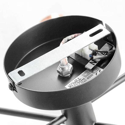 Потолочные Потолочная люстра Lussole Lgo Huron LSP-8200, доставка по Казахстану 