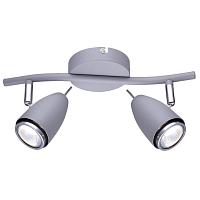 Дополнительная картинка Настенно-потолочный светильник Arte Lamp Regista A1966AP-2GY