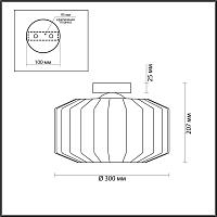 Дополнительная картинка Потолочный светильник Odeon Light Pendant Binga 4746/1C