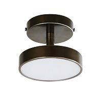 Дополнительная картинка Потолочный светильник Atma 3060-1P