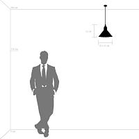 Дополнительная картинка Подвесной светильник Lightstar Loft 765027