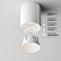 Потолочный светильник Technical C064CL-12W4K-RD-WB купить в Алматы svet.kz