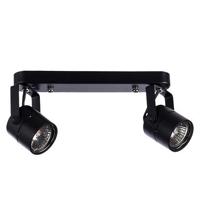 Потолочный светильник Arte Lamp MIZAR A1311PL-2BK купить в Алматы svet.kz