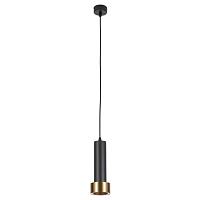 Дополнительная картинка Подвесной светильник Arte Lamp RAN A3147SP-1BK