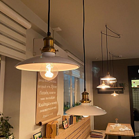 Дополнительная картинка Подвесной светильник Lussole Loft IX LSP-9605